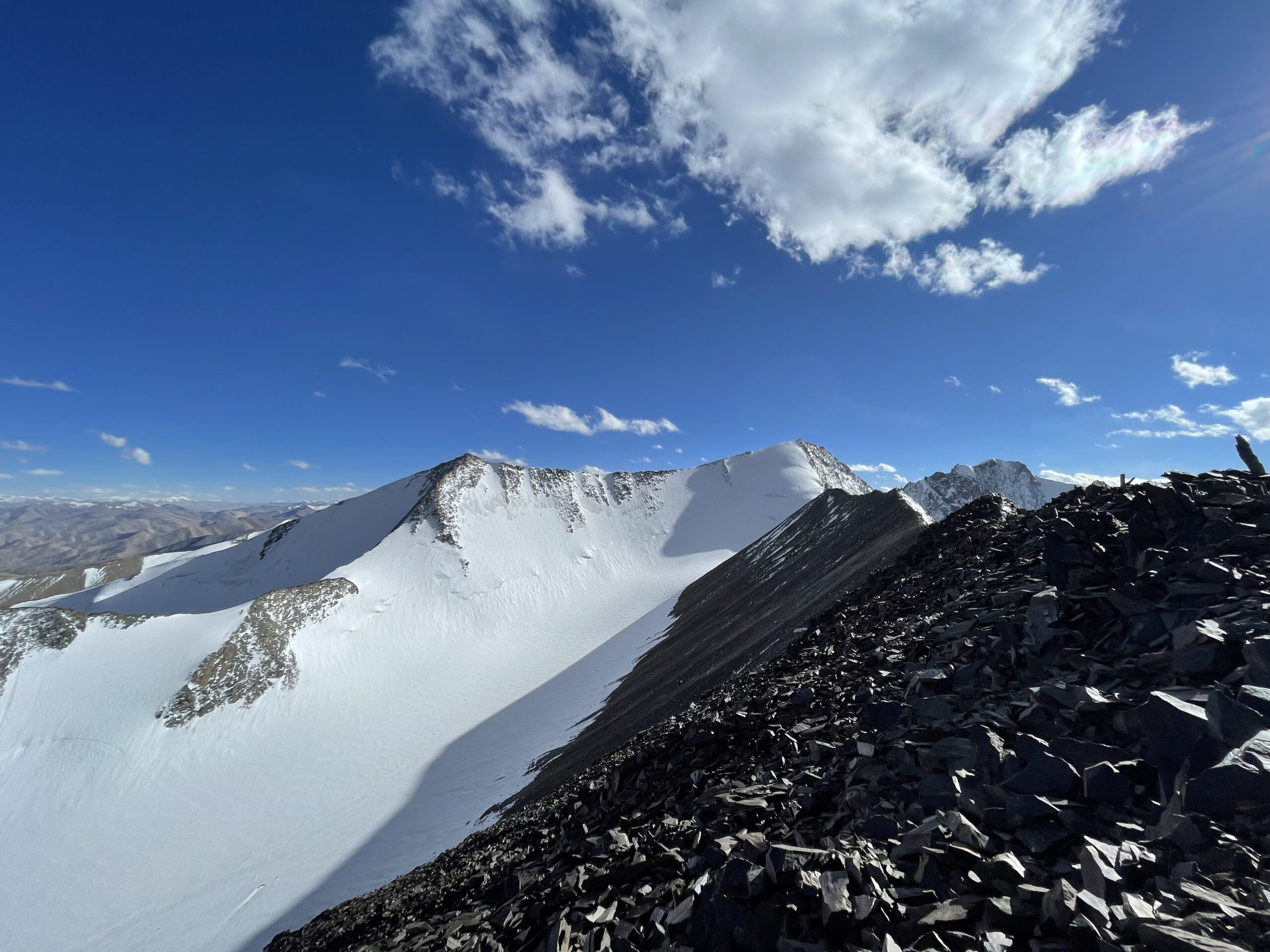 Dzo Jongo I M Ladakh India Ri Guides